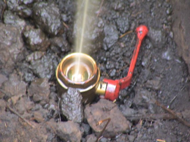 У Ковалівці затримали «кондерів» під патронатом нардепа Бублика_5