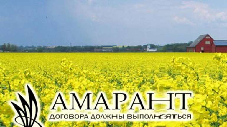 Бізнесмени «Амарант-Агро» залишили дірку від бублика пайовикам у Лохвиці 