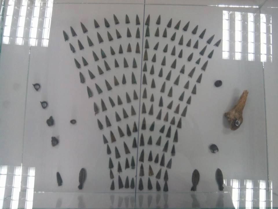 110 років тривають дослідження найбільшого скіфського городища Європи на Полтавщині _3