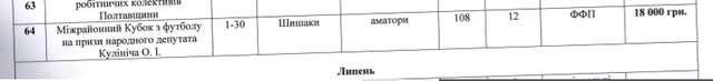 Федерація футболу Полтавщини витрачала бюджетні кошти на приватні клуби та піар народного депутата_7
