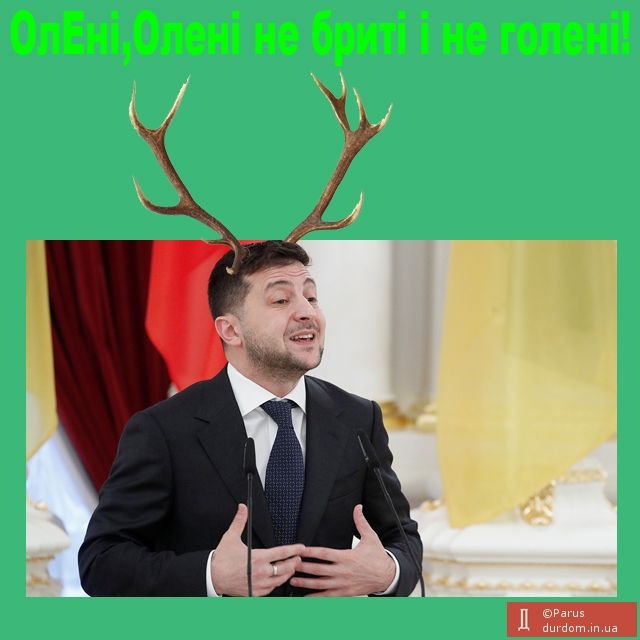 ​Просто Б. під охороною. Як національний заповідник_1