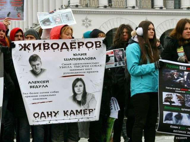 Мітинг у Києві, 2012 рік