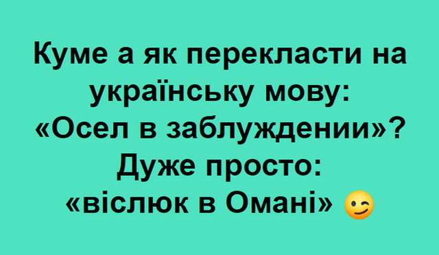 Вовка Аравійський:  соцмережі вибухнули фотожабами про відпочинок Зеленського_15