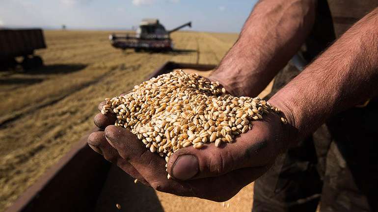 Україна увійшла в трійку найбільших експортерів сільгосппродукції в ЄС