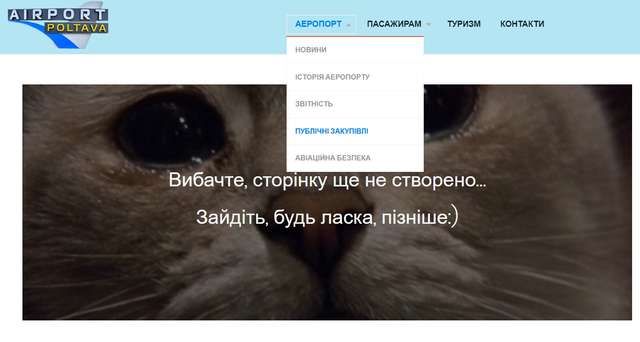 Депутат від «Слуги народу» наживався на фіктивному ремонті аеропорту «Полтава»_8