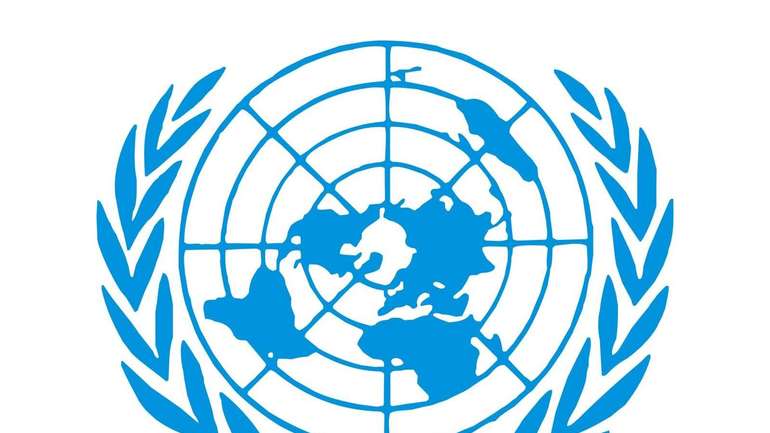 В ООН піддали критиці український закон про дезінформацію