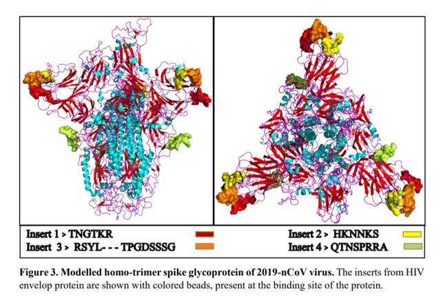 Смертельний коронавірус синтезували китайські військові, використовуючи фрагменти ВІЛ_1