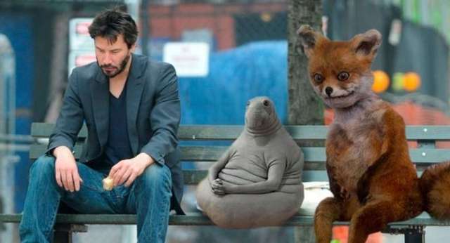 У МОН відреагували на появу підручника, де замість історичного фото опублікували мем_7