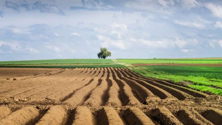 Сюмар: Зеленський хоче за безцінь розпродати землі, латаючи дірки в бюджеті