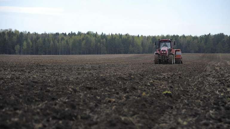 Відсутність вологи спонукає аграріїв до попиту на посухостійкі культури