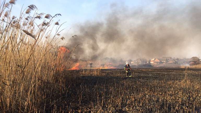 За добу на Полтавщині вигоріло 56 гектарів трави і очерету