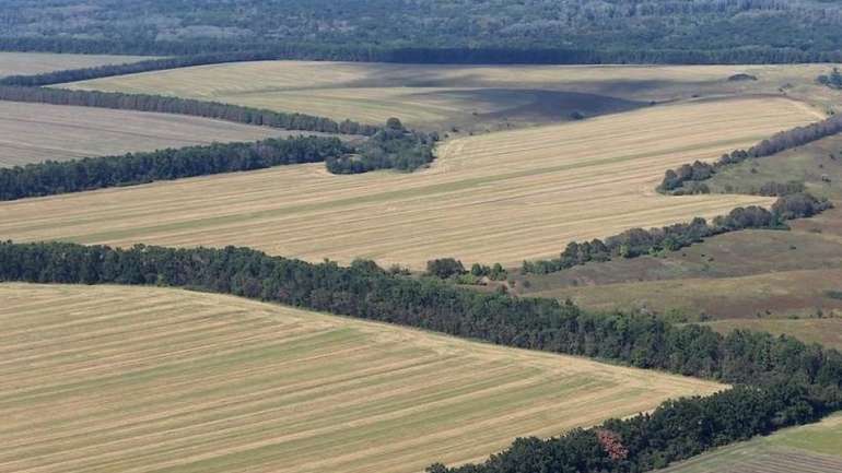 Лісосмуги в Україні можна буде брати в оренду