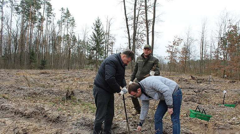 Лісове господарство Житомирської області поповнилося новими деревами