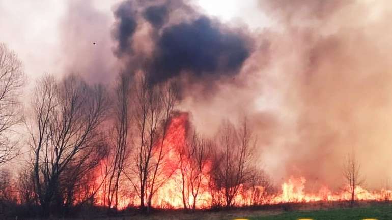 Катастрофічна кількість пожеж в екосистемах на Полтавщині