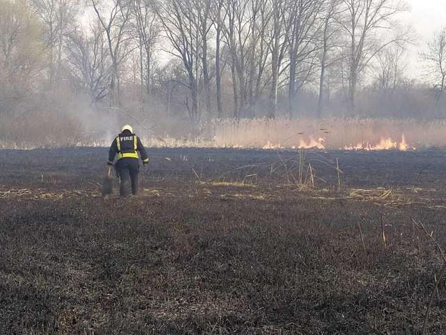 Катастрофічна кількість пожеж в екосистемах на Полтавщині_4