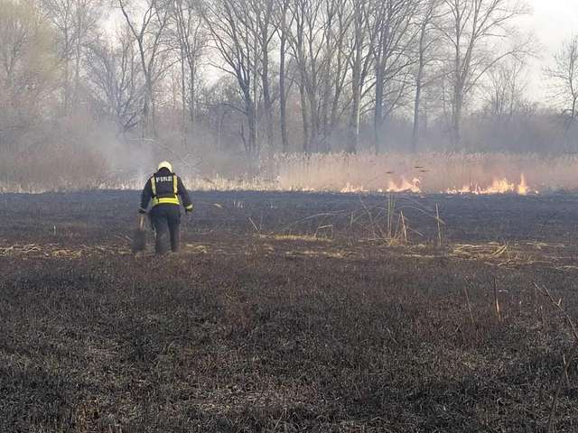 Катастрофічна кількість пожеж в екосистемах на Полтавщині_3