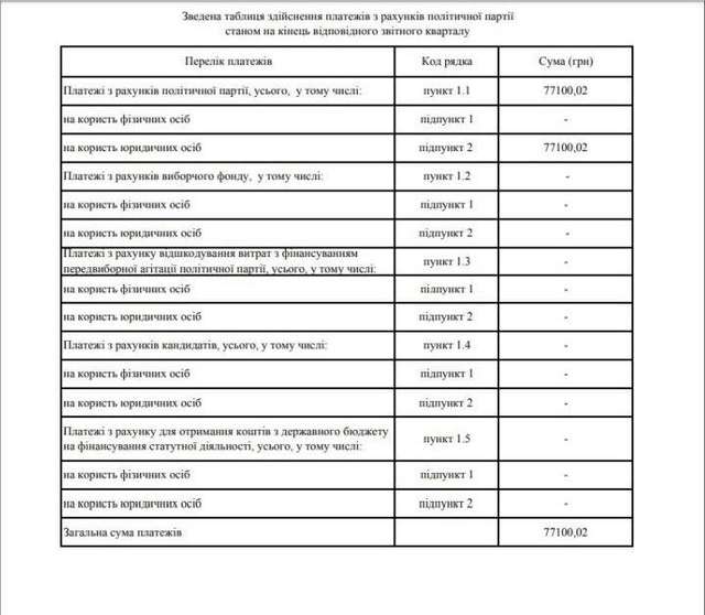«Рідне місто» витратило на піар у Facebook більше, ніж отримало внесків_5