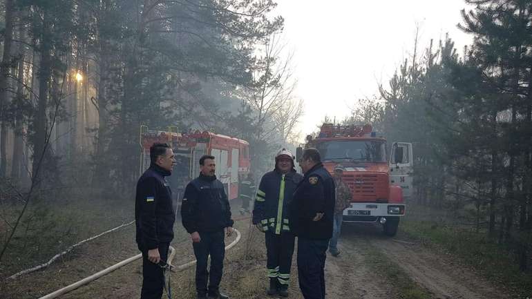 На Полтавщині горить 8 гектарів соснового лісу