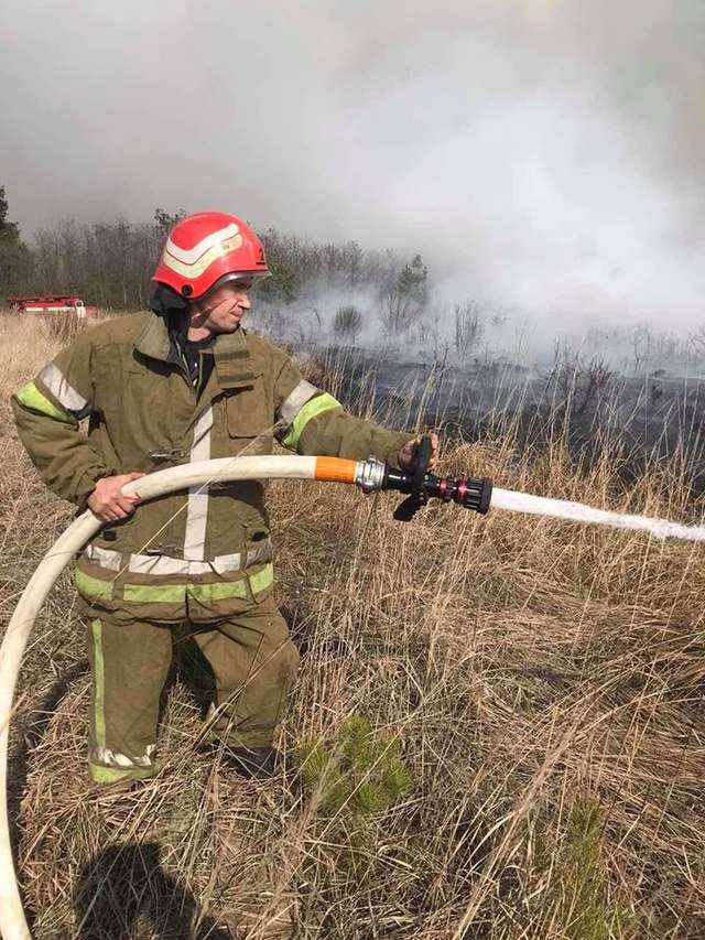 На Полтавщині горить 8 гектарів соснового лісу_3