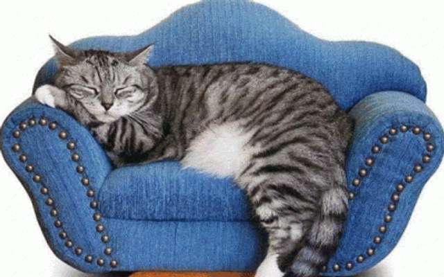 35 найприємніших відчуттів у світі_13