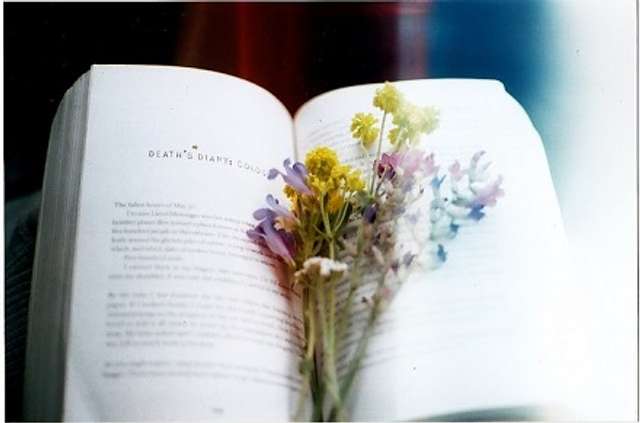 35 найприємніших відчуттів у світі_17