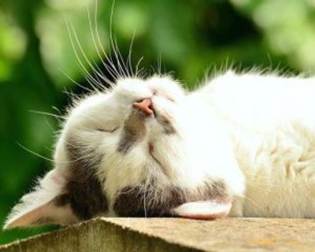 35 найприємніших відчуттів у світі_27