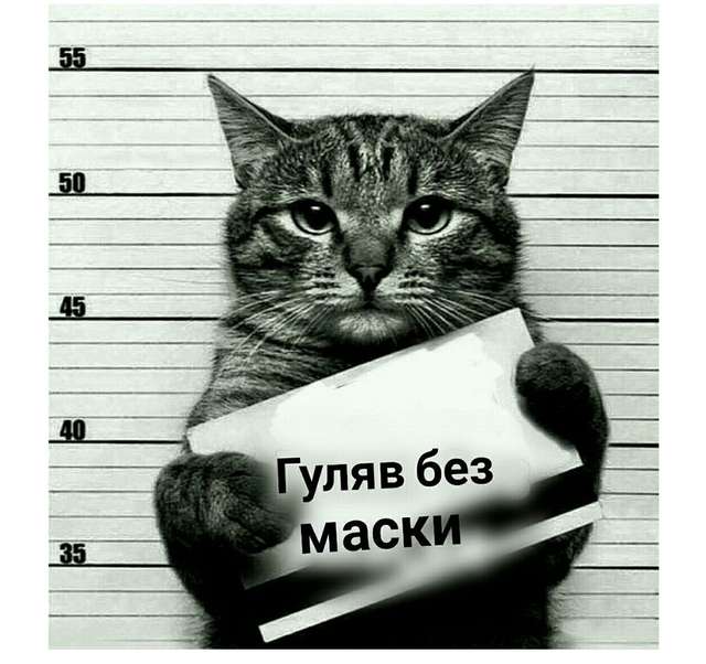 Як пройшов перший день суворих карантинних обмежень_3