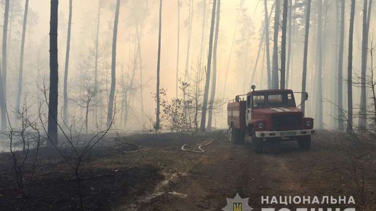 Через необережне поводження з вогнем у Котелевському районі горів ліс