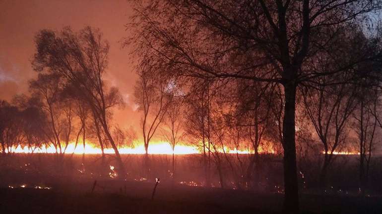 Лісові пожежі тепер і на Полтавщині