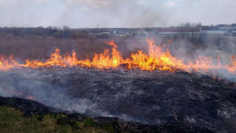 Вогнеборці Львівської області ліквідували низку займань на відкритій території