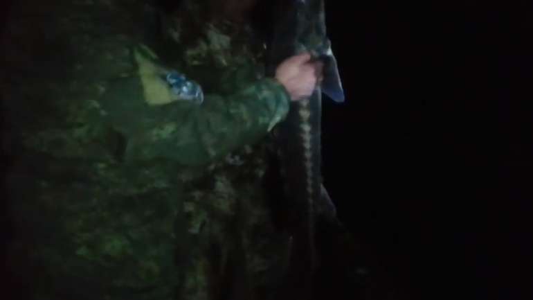 На Херсонщині рибалкам завадили здійснювати вилов рідкісних осетрів