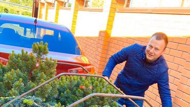 Центральну площу Опішні прикрасять рідкісними декоративними деревами