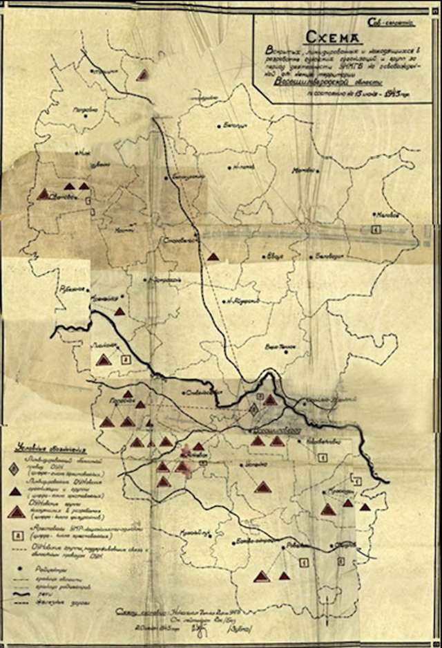 ОУН на Донбасі: страшна правда для ворогів_1