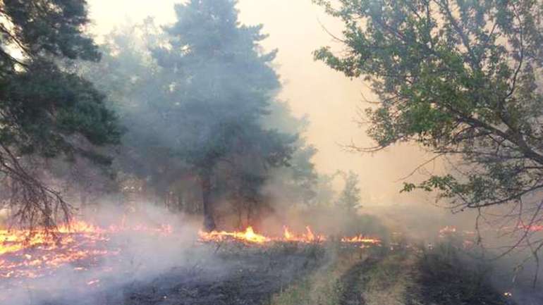 Низку займань ліквідовано в екосистемах Запорізької області