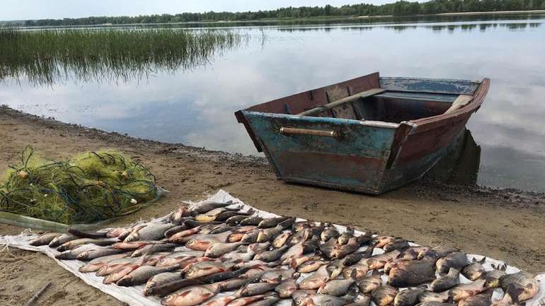 Факт «браконьєрства» зафіксували в акваторії Кам'янського водосховища на Полтавщині