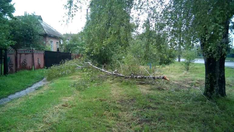 Миргород повільно долає наслідки негоди