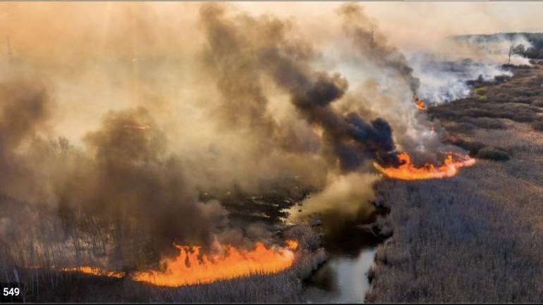 В Україні існує значна небезпека пожеж у природних екосистемах – ДСНС