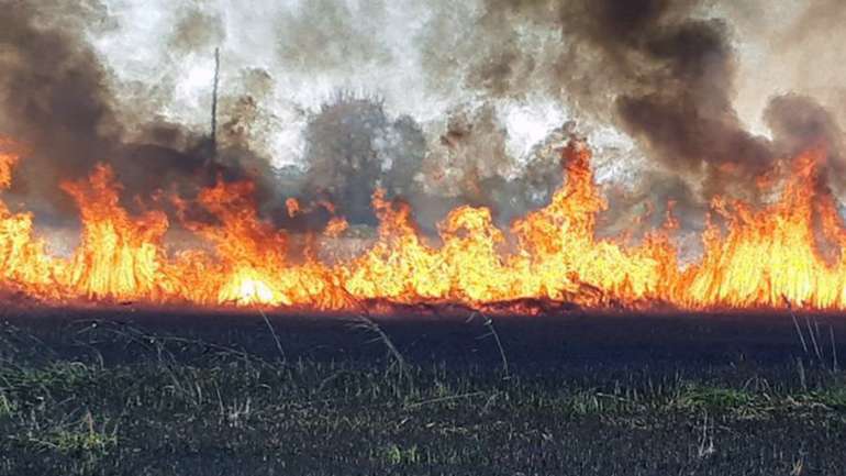 У Полтавській області через спеку ймовірне виникнення лісових пожеж