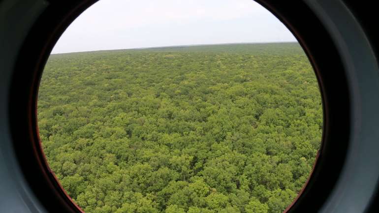 На Харківщині представників громадськості залучили до повітряного нагляду за лісами