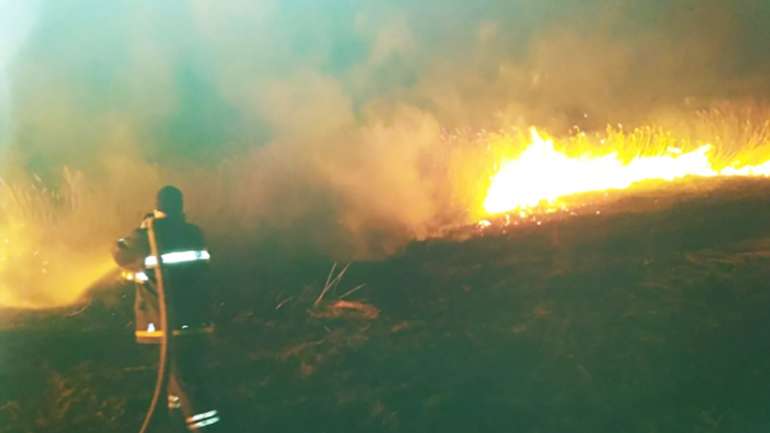 Вогнеборці Полтавської області загасили кілька пожеж на відкритій території