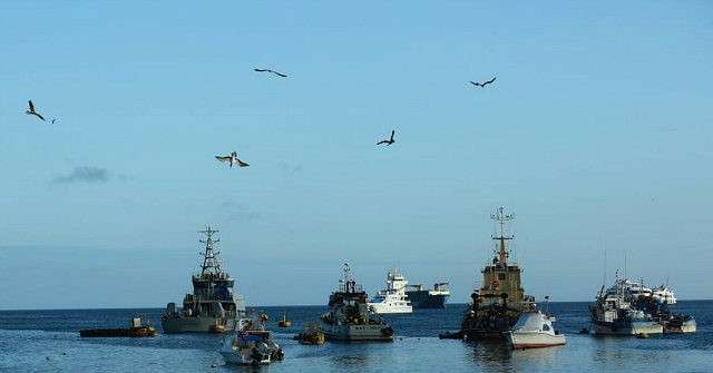 Екологи б'ють на сполох — риболовецькі судна КНР спустошують світовий океан_2