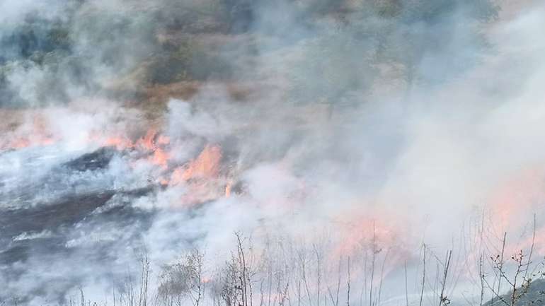 Лісові пожежі повернулися на Полтавщину