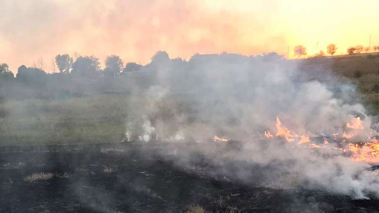На Полтавщині оголосили високий рівень пожежної небезпеки