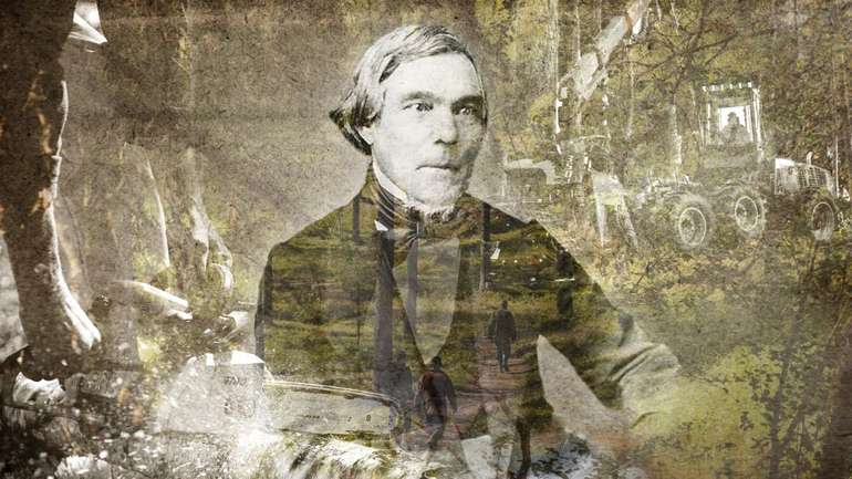 Стежка «Калевали» опинилася на межі зникнення