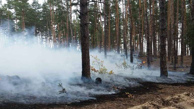 На Полтавщині знову горів ліс