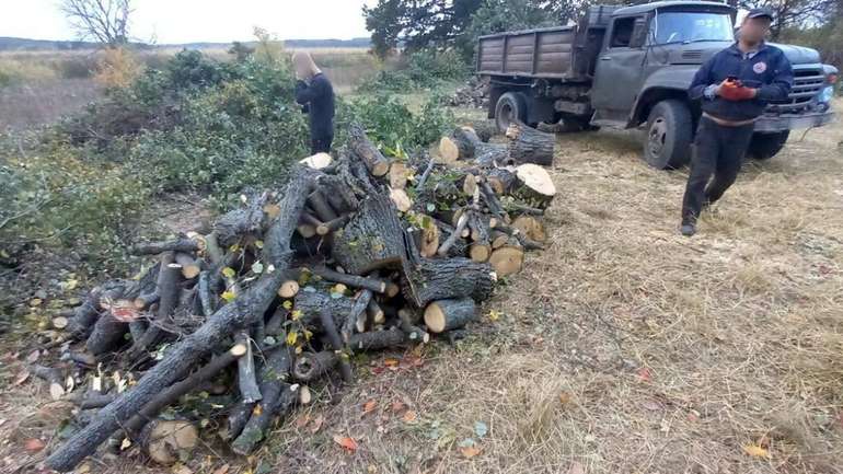 Незаконну вирубку виявлено у Полтавському районі