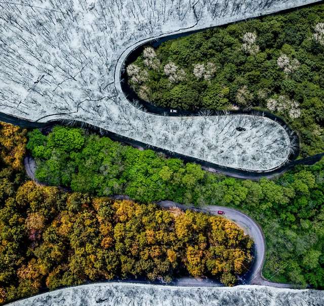 Визначено найкращі фото 2020 року, зняті з дрона_21