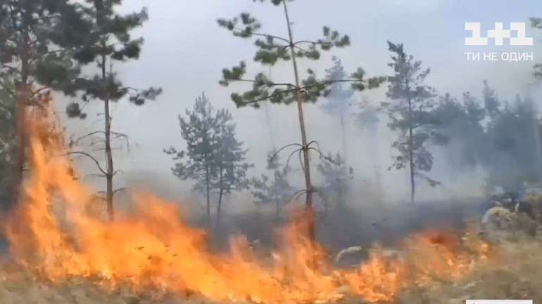 До гасіння пожежі на лінії розмежування залучили пожежний потяг