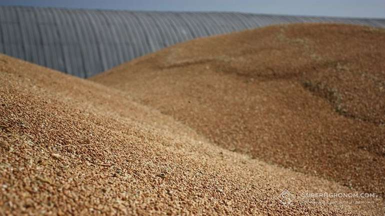 Держрезерв України недорахувався 7 мільйонів тонн зерна
