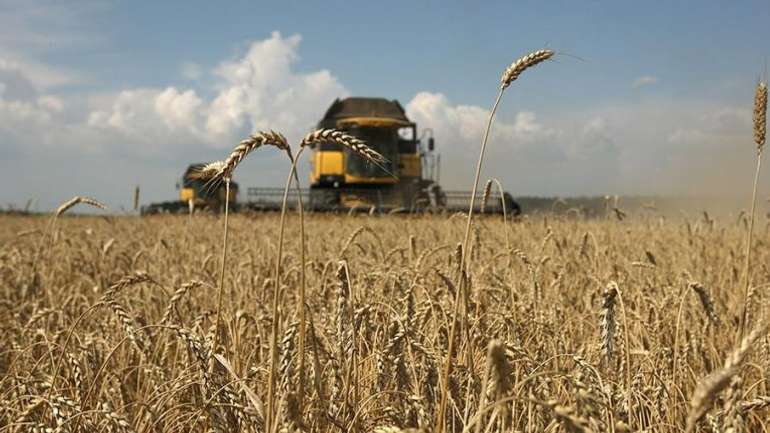 Сільське господарство України входить у час стагнації